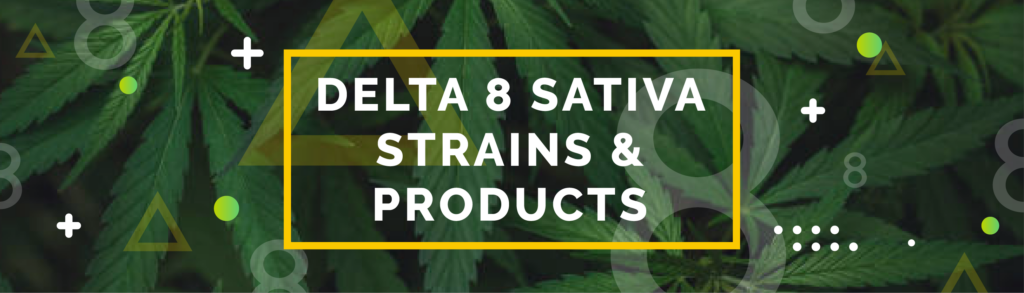 Delta 8 Sativa Strains Banner